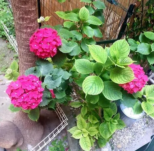 Vakantiehuis Casa Giustina Ventimiglia